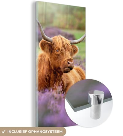 MuchoWow® Glasschilderij 20x40 cm - Schilderij acrylglas - Schotse Hooglander - Bruin - Struiken - Foto op glas - Schilderijen