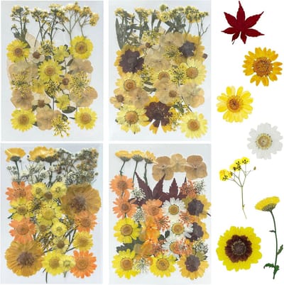 Gedroogde Bloemen - Natuurlijke Decoratie - Hars Knutselen - Echt Geperst - 137 Stuks - Geel
