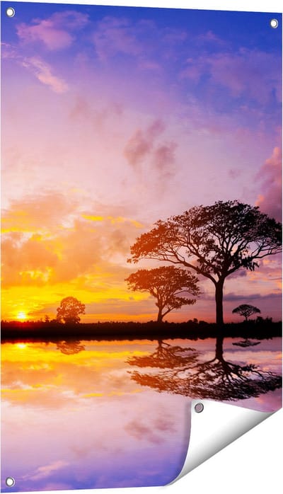 Gards Tuinposter Silhouet van Bomen tijdens Zonsondergang - 60x90 cm - Tuindoek - Tuindecoratie - Wanddecoratie buiten - Tuinschilderij
