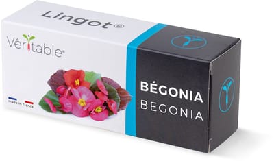 Véritable® Lingot® BEGONIA -  BEGONIA navulling voor alle Véritable® binnenmoestuin-toestellen