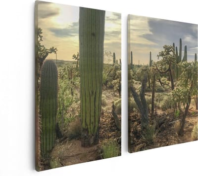 Artaza Canvas Schilderij Tweeluik Cactus Planten in het Wild - 80x60 - Foto Op Canvas - Canvas Print