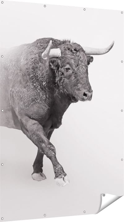 Gards Tuinposter Stier op een Grijze Achtergrond - Zwart Wit - 120x180 cm - Tuindoek - Tuindecoratie - Wanddecoratie buiten - Tuinschilderij
