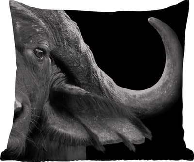 Tuinkussen - Buffalo - Dieren - Zwart - Wit - 40x40 cm - Weerbestendig