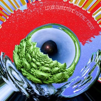 Edgar Summertyme - Morphic Fields (CD)