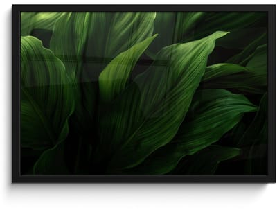 Poster in lijst - Fotolijst 60x40 cm - Posters - Bladeren - Schaduw - Groen - Textuur - Posterlijst zwart - Decoratie - Wanddecoratie woonkamer - Muurdecoratie slaapkamer