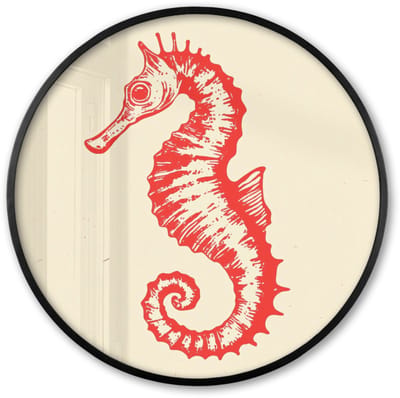 Poster in lijst Rond - Fotolijst 60x60 cm - Posters - Zeepaardje - Rood - Fijne details - Ronde posterlijst zwart - Decoratie - Wanddecoratie woonkamer - Muurdecoratie slaapkamer