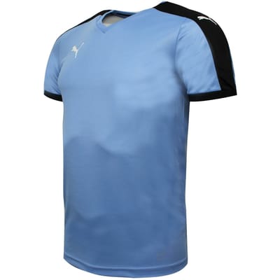 Puma Pitch Shirt Korte Mouw Training Gym T-Shirt Blauw - Heren