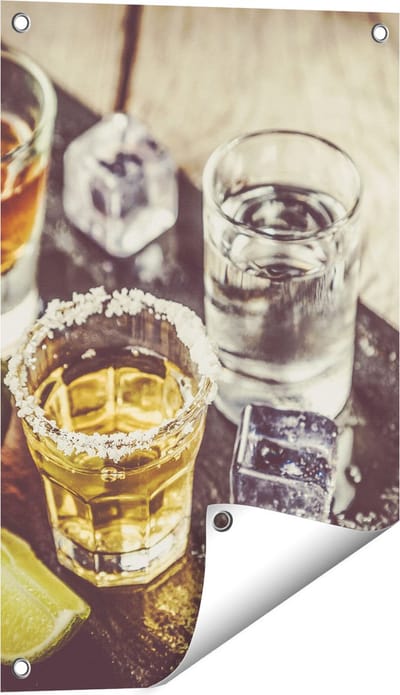 Gards Tuinposter Alcoholische Drankjes - Drank - 40x60 cm - Tuindoek - Tuindecoratie - Wanddecoratie buiten - Tuinschilderij