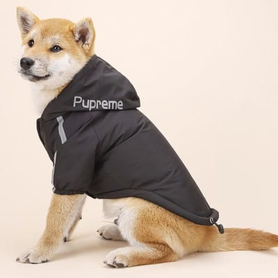 Herfst Winter Huisdier Hond Waterdichte Jas Puppy Warme Katoenen Jas The Dog Face Hoodie Reflecterende Kleding Voor Honden Katten Kleding L
