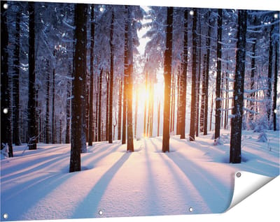 Gards Tuinposter Bos met Sneeuw tijdens de Zonsondergang - 120x80 cm - Tuindoek - Tuindecoratie - Wanddecoratie buiten - Tuinschilderij