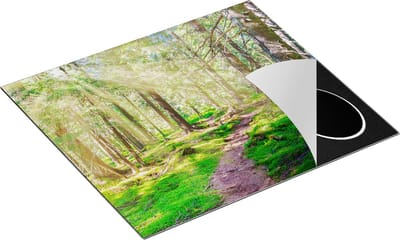 Chefcare Inductie Beschermer Pad in Bos met Zon tussen de Bomen - 60x50 cm - Afdekplaat Inductie - Kookplaat Beschermer - Inductie Mat