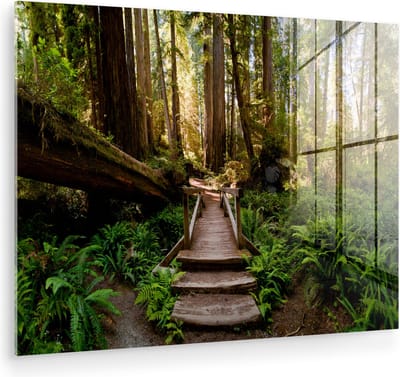 MuchoWow® Glasschilderij 160x120 cm - Schilderij acrylglas - Jungle - Natuur - Trap - Bomen - Foto op glas - Muurdecoratie woonkamer - Wanddecoratie slaapkamer - Schilderijen