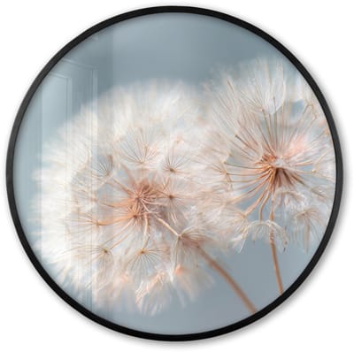 Poster in lijst Rond - Fotolijst 60x60 cm - Posters - Paardenbloemen - Pluisjes - Wit - Ronde posterlijst zwart - Decoratie - Wanddecoratie woonkamer - Muurdecoratie slaapkamer