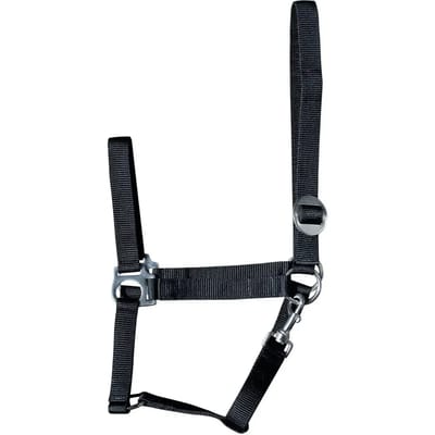 Harry's Horse Halster Economy Shetland Zwart