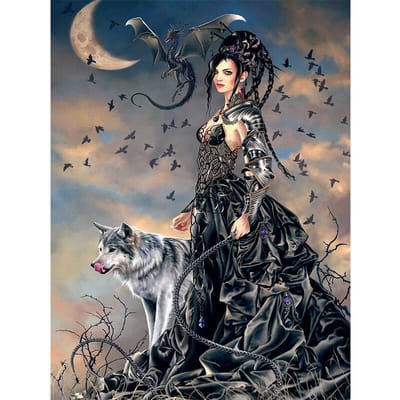 5d diamantmozaïek Gotische donkere fee wolf draak diy diamantmozaïek borduurwerk 30X40CM