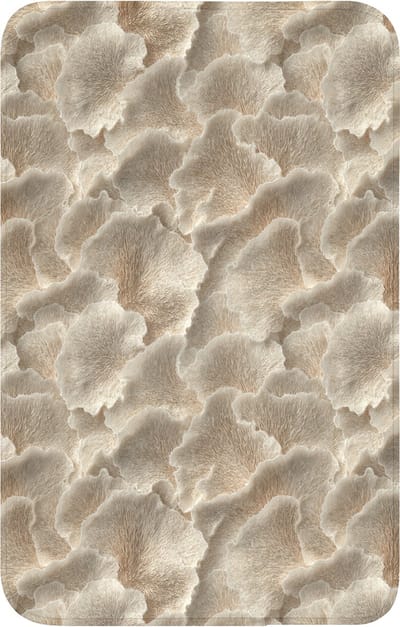 WC mat 50x80 cm - Antislip - Waaierstructuren - Beige - Vezeltextuur - Toiletmat - Vloermat - Douchemat - Toilet tapijt - Toiletmatten