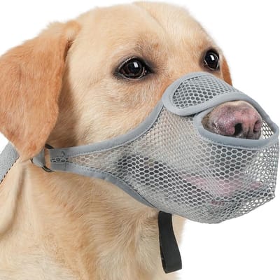 Honden muilkorf - Comfortabel mondmasker - Veilig wandelen - Zacht ademend materiaal - Verstelbare riem - Grijs