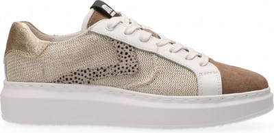 Maruti - Charlie Sneakers Beige - Beige - Gold - 37