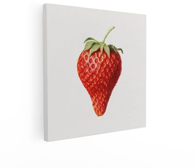 Artaza Canvas Schilderij Fruit - 40x40 cm - Wanddecoratie Aardbei Botanisch - Muurdecoratie Stilleven - Schilderijen Op Canvas