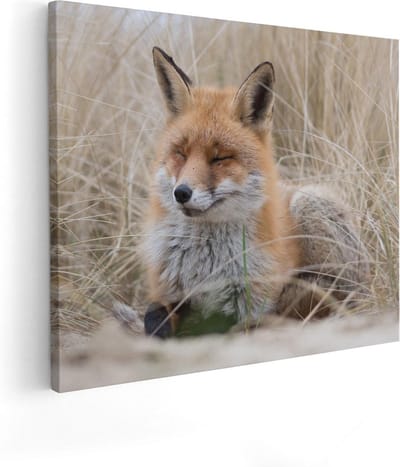 Artaza Canvas Schilderij Vos In Duingras - 50x40 cm - Wanddecoratie Dieren - Muurdecoratie Woonkamer - Kamer Accessoires