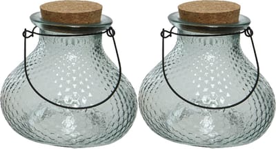 Decoris wespenvanger/wespenval - set 2x - glas - blauw - D14 x H13 cm