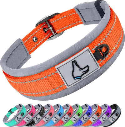 Hondenhalsband voor grote honden - verstelbaar, neopreen gevoerd en reflecterend, stevige en comfortabele halsbanden