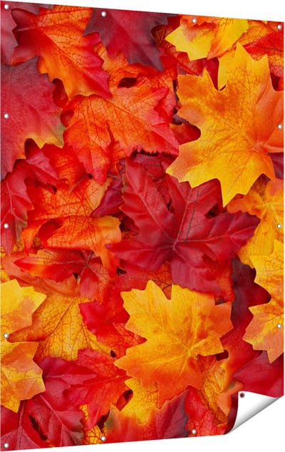 Gards Tuinposter Herfstbladeren in het Oranje en Rood - 120x160 cm - Tuindoek - Tuindecoratie - Wanddecoratie buiten - Tuinschilderij