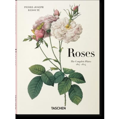 Redoute. Roses - H. Walter Lack