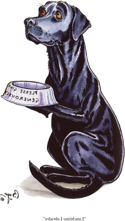 Labrador Honden Wenskaart - Hond Kaart - Verjaardag Vieren - Met Bruine Stippen Envelop - A5 Formaat - Zwart