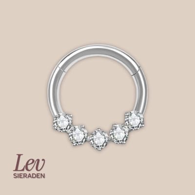 Lev Sieraden - Titanium premium neus ring - 5 zirkonia segment ring - 1.2x8mm - Zilver - segment ring - neuspiercing - tragus piercing - Oorpiercing