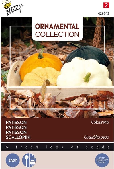 Buzzy Ornamental - Courgette/Patisson Colour Mix