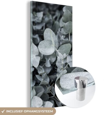 MuchoWow® Glasschilderij 20x40 cm - Schilderij acrylglas - Natuur - Planten - Eucalyptus - Bladeren - Foto op glas - Schilderijen