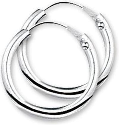 TFT Oorring Ronde Buis Zilver Gerhodineerd Glanzend 2 mm x 14 mm
