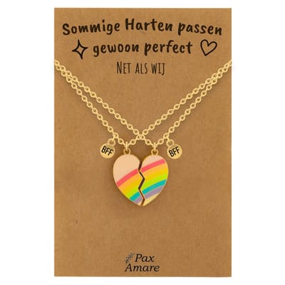 BFF Ketting voor 2 'Sommige harten passen perfect' - Magnetisch Regenboog Hartje - Vriendschapsketting op Cadeau Kaartje - 45cm + 5cm verstelbaar - Goudkleurig - Best Friends Hanger - Pax Amare