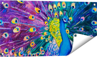 Gards Tuinposter Pauw met Kleurrijke Veren van Olieverf - Abstract - 80x40 cm - Tuindoek - Tuindecoratie - Wanddecoratie buiten - Tuinschilderij
