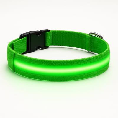 Professor Q – LED Halsband Hond – Lichtgevend - Oplaadbare LED Halsband Hond – Groen – Maat XS