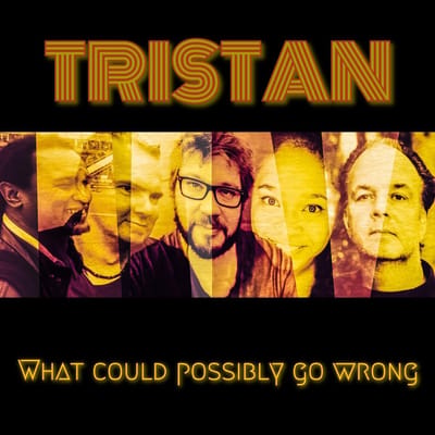 What Could Possbily Go Wrong (CD)