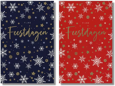 MGPcards - 20 Luxe dubbele wenskaarten - Kerstkaarten / Nieuwjaar - Foliebewerking - Witte envelop - 10.5 x 16 cm - 2 Motieven per doosje
