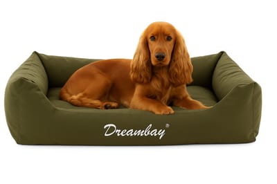 Hondenmand – orthopedisch hondenkussen Dreambay® Olijfgroen 80x67cm – waterafstotend & afneembare hoes – duurzaam Europees design