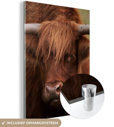 MuchoWow® Glasschilderij 120x160 cm - Schilderij acrylglas - Schotse Hooglander - Oranje - Dieren - Foto op glas - Schilderijen