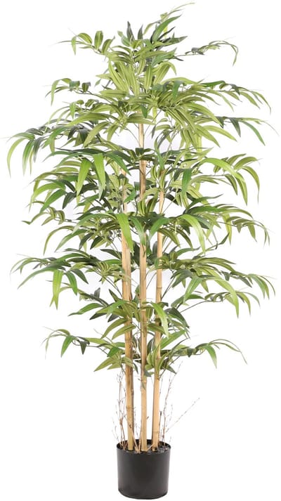 NeverLeafs Bamboe Japanse kunstplant - 160 cm