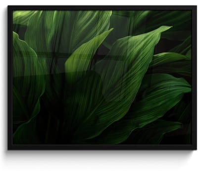 Poster in lijst - Fotolijst 80x60 cm - Posters - Bladeren - Schaduw - Groen - Textuur - Posterlijst zwart - Decoratie - Wanddecoratie woonkamer - Muurdecoratie slaapkamer