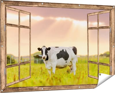 Gards Tuinposter Doorkijk Zwart Wit Koe in de Wei bij Zonsopkomst - 150x100 cm - Tuindoek - Tuindecoratie - Wanddecoratie buiten - Tuinschilderij