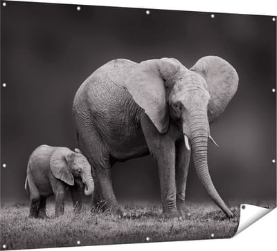 Gards Tuinposter Olifant Moeder en Zoon - Zwart Wit - 160x120 cm - Tuindoek - Tuindecoratie - Wanddecoratie buiten - Tuinschilderij