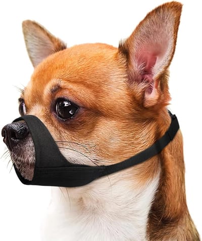 Comfortabele Mondbeschermer voor Hond - Anti-Bite & Kauwbescherming voor Kleine tot Grote Rassen