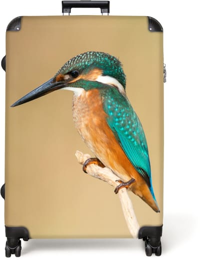 NoBoringSuitcases.com® - Koffer groot - Reiskoffer lichtgewicht - IJsvogel - Dieren - Natuur - Rolkoffer met 4 wielen - Grote trolley XL - 98 liter bagage