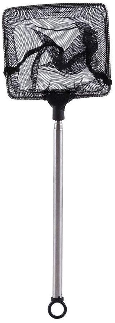 Dailygoods- Aquariumschepnet - Telescoopnet - Visnet - Roestvrijstalen Handvat - Verstelbare Lengte 16-44 cm - Hoogwaardige Kwaliteit