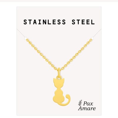 Stainless Steel Katje Ketting Goudkleurig - 45cm + 5cm Verstelbaar Roestvrij Staal - Schattige Cadeau Hanger - Pax Amare