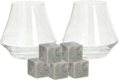 Secret de Gourmet whiskyglazen - set 4x stuks van 290 ml - en 9x whisky ijsblokstenen - Cadeau set vaderdag