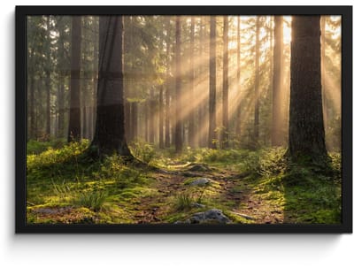Poster in lijst - Fotolijst 60x40 cm - Posters - Bos - Zonlicht - Gras - Posterlijst zwart - Decoratie - Wanddecoratie woonkamer - Muurdecoratie slaapkamer
